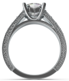 ring1